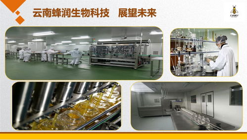 云南蜂潤集結愛心，科技助殘奧健兒出征